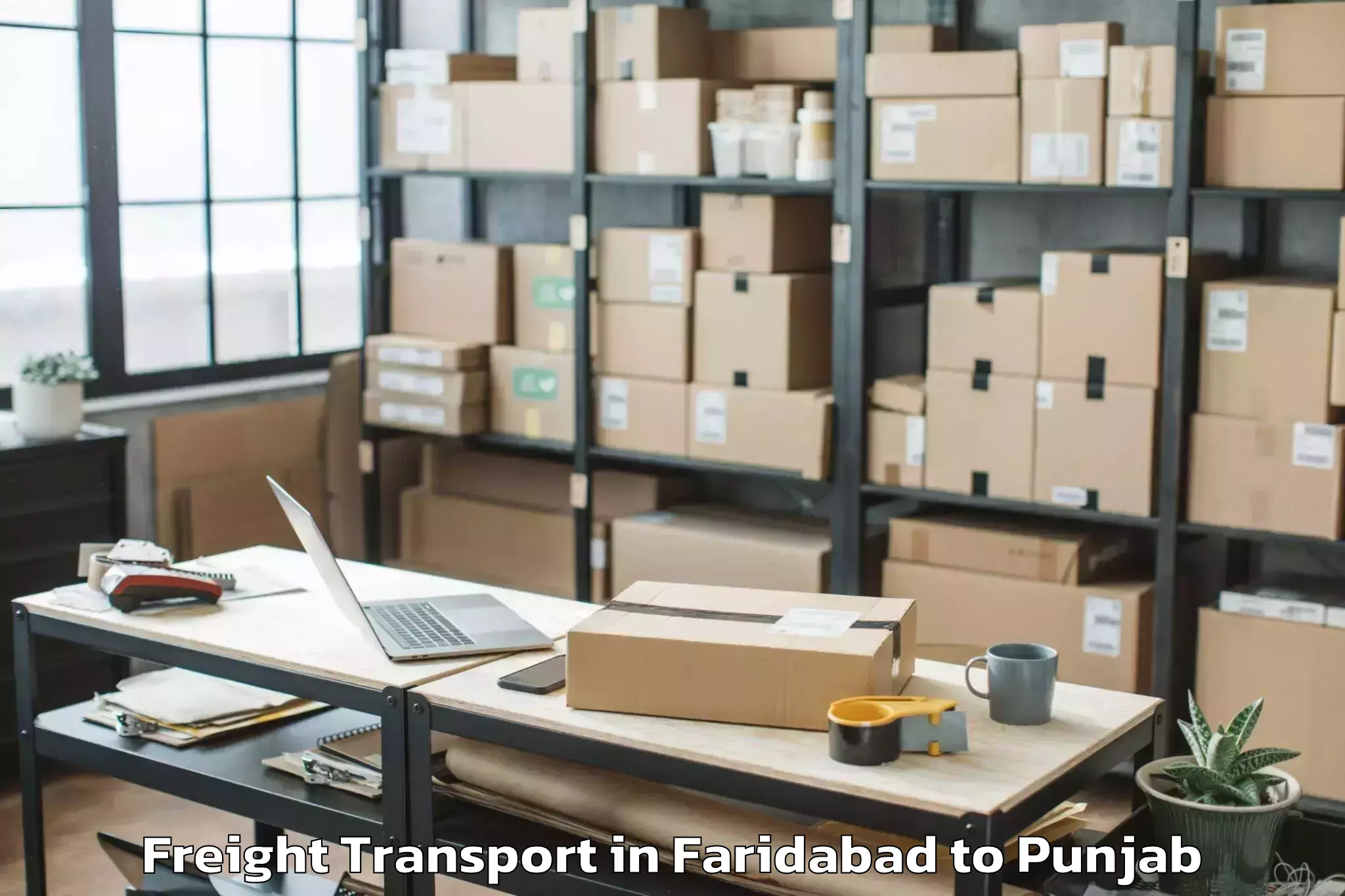 Get Faridabad to Giddarbaha Freight Transport